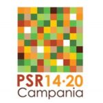 psr14 20 300x283