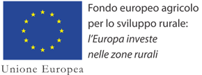 fondo europeo