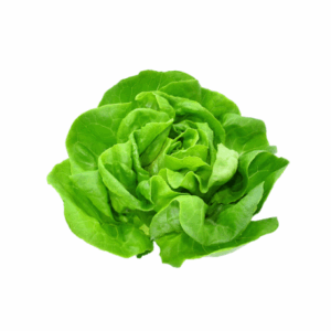 insalata bio
